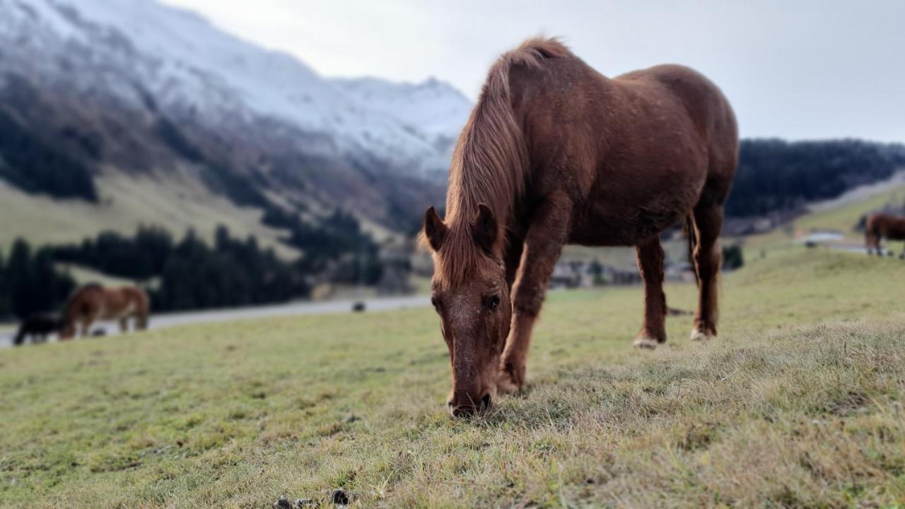 Yeti Lodge Sedrun Eksteriør billede